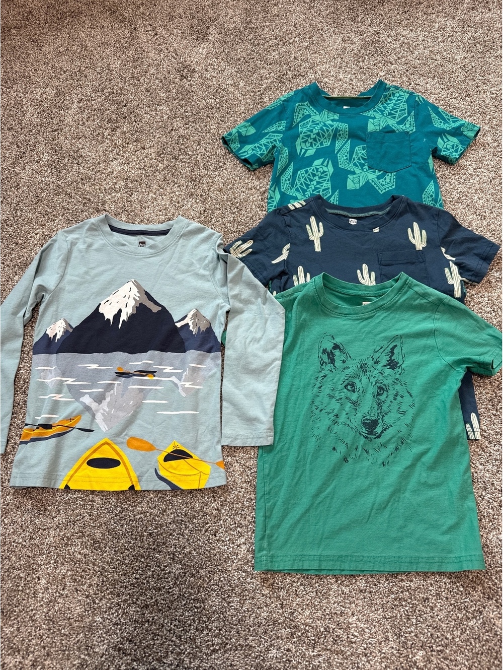 Tea Collection Lot